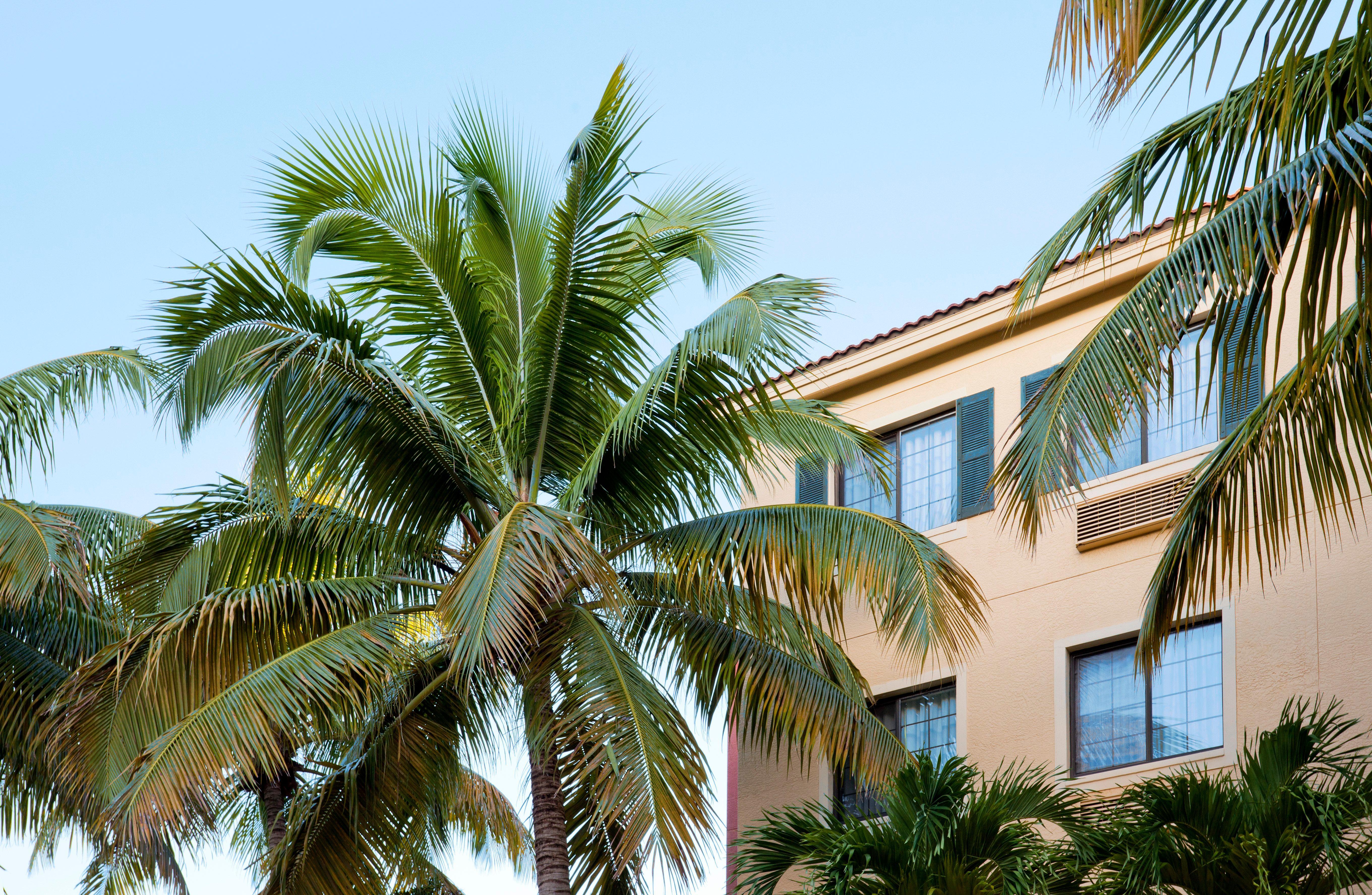 Staybridge Suites Naples - Gulf Coast, An Ihg Hotel Exterior foto